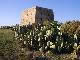 Island Tabarca and the underwater world (Spain)